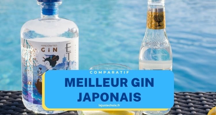 Avis gin japonais