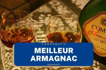 Avis meilleur armagnac