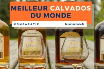 Avis meilleur calvados du monde