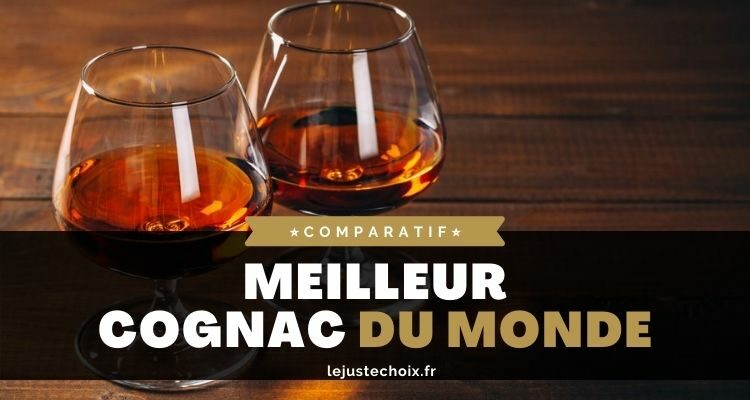 Avis meilleur cognac du monde