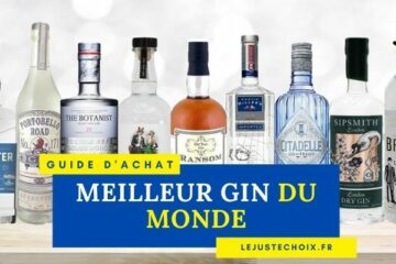 Avis meilleur gin du monde