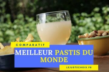 Avis meilleur pastis du monde