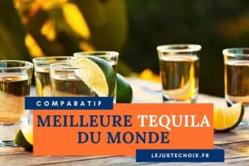 Avis meilleure tequila du monde