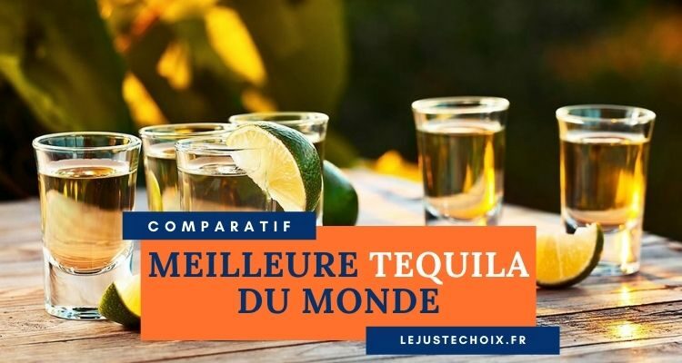 Avis meilleure tequila du monde