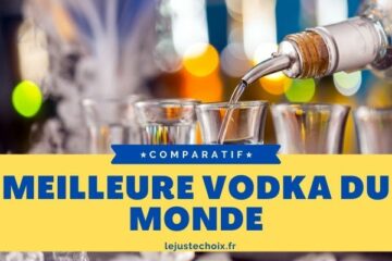 Avis meilleure vodka du monde