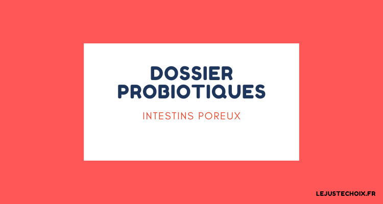 intestin poreux quel probiotique prendre